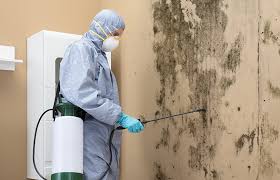 Best Mold Damage Restoration in Mcfarland, WI